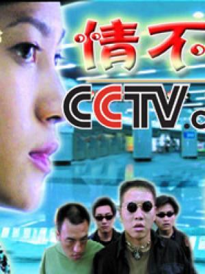 寻梦之旅